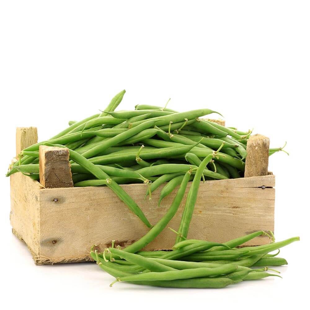 Fennec - Green Beans - 2Kg