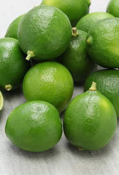 Fresh - Green Lime