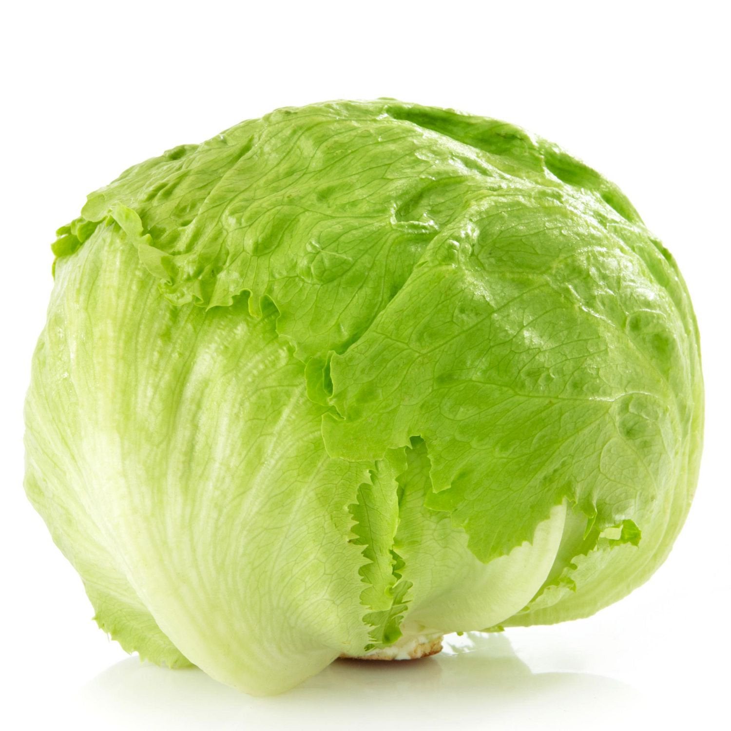 Fresh - Lettuce Head