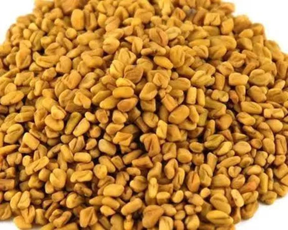 Fenugreek Seeds (Methi Seeds)