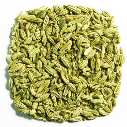 All Seasons - Fennel Seeds - 454g