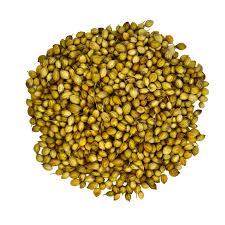 All Seasons - Coriander Whole - 300g